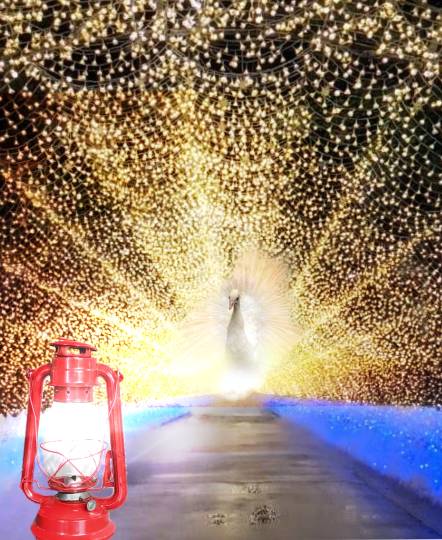 雑談お絵描き部・コラージュ部・素材提供部 No.12 画像投稿のお悩みはコチラへ