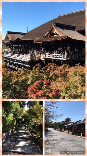 ★ドンキ♡♡ロピア 雑談48★