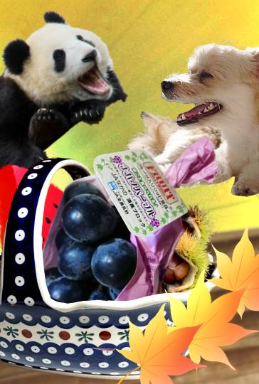 生き物ルーム第49