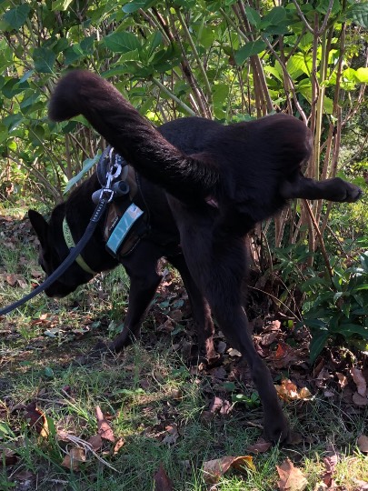 生き物ルーム第49