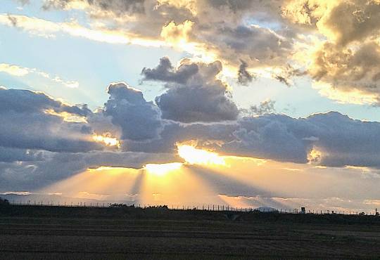 雑談お絵描き部10　画像関係