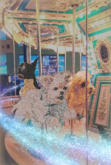 雑談お絵描き部・コラージュ部・素材提供部 No.１２　画像投稿のお悩みはコチラへ