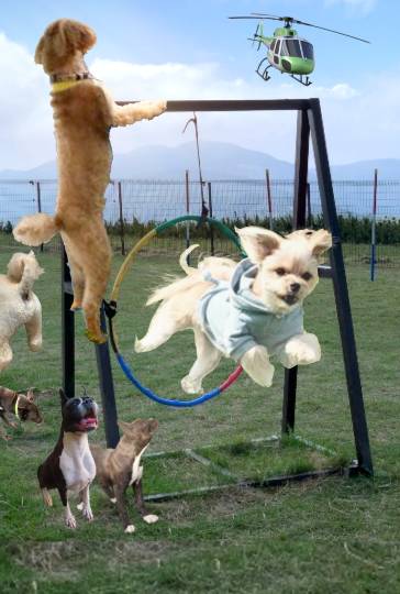 生き物ルーム第49