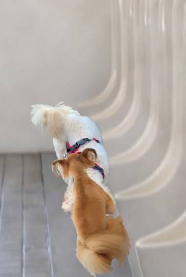 生き物ルーム第49