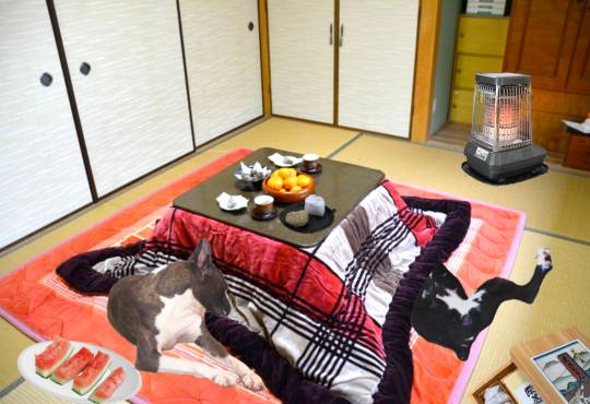 生き物ルーム第49