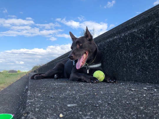 生き物ルーム第49