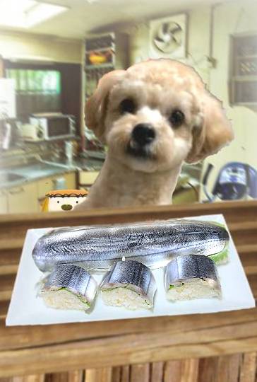 生き物ルーム第49