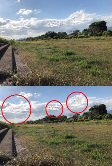 生き物ルーム第49