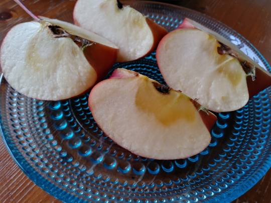 ★ドンキ♡♡ロピア 雑談47★