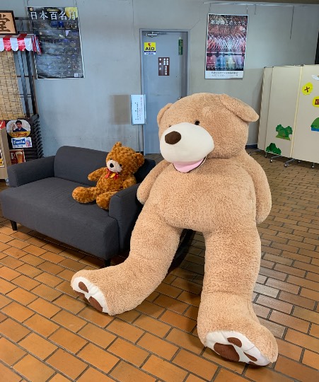 生き物ルーム第49