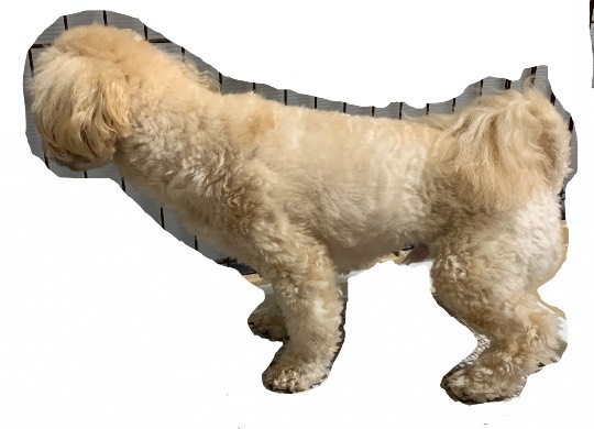 生き物ルーム第49