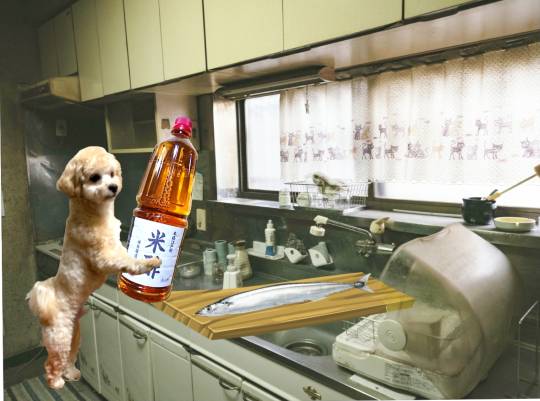 生き物ルーム第49