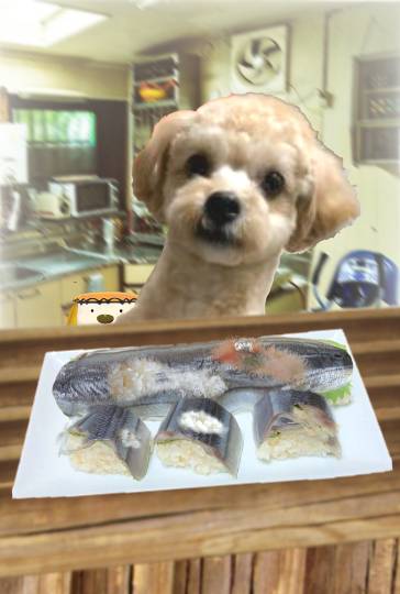 生き物ルーム第49