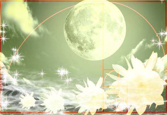 雑談お絵描き部10　画像関係