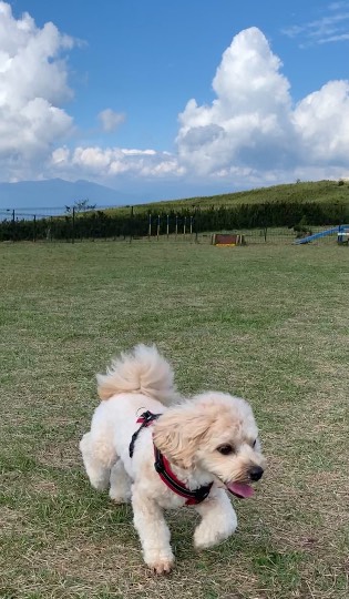 生き物ルーム第49