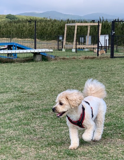 生き物ルーム第49