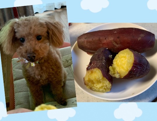 生き物ルーム第49