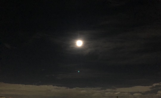 ★ドンキ♡♡ロピア 雑談47★