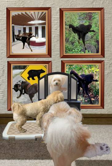 生き物ルーム第49