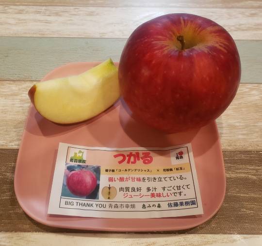 マスク同窓会詰所兼ニューフェイス歓迎所30(夢)