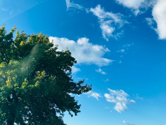 あつまれ！！雑談&amp;ゲーム･アニメ･漫画好きの森　season２#７