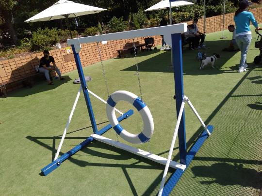 生き物ルーム第49