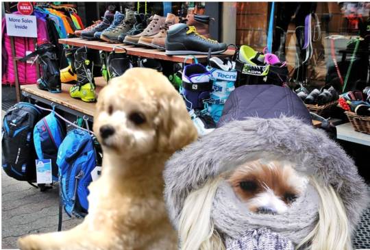 生き物ルーム第49