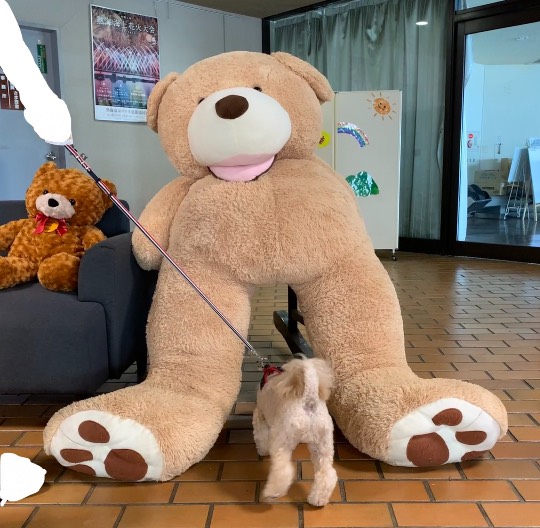 生き物ルーム第49