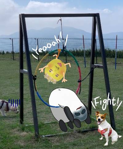 生き物ルーム第49