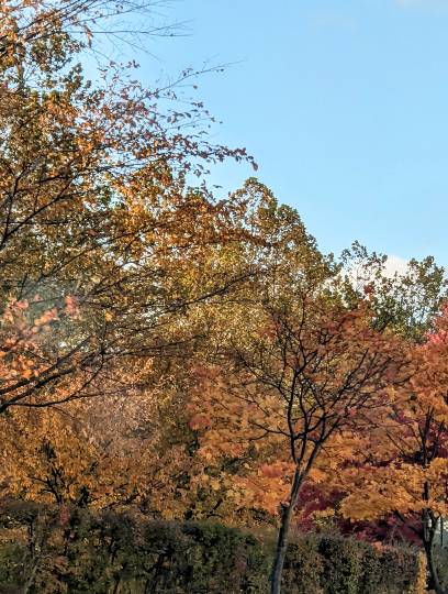 雑談お絵描き部・コラージュ部・素材提供部 No.１２　画像投稿のお悩みはコチラへ