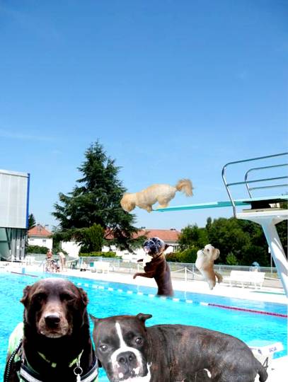 生き物ルーム第49