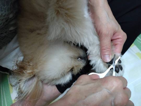 生き物ルーム第49