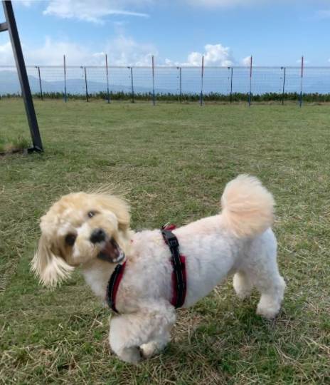 生き物ルーム第49