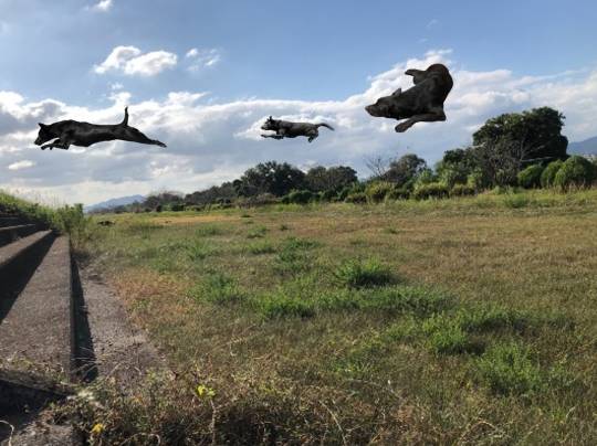 生き物ルーム第49