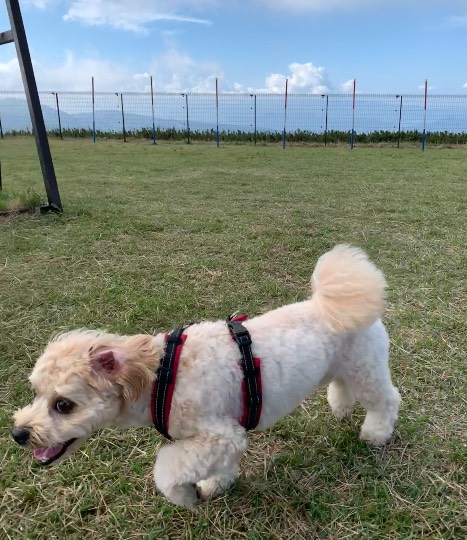 生き物ルーム第49