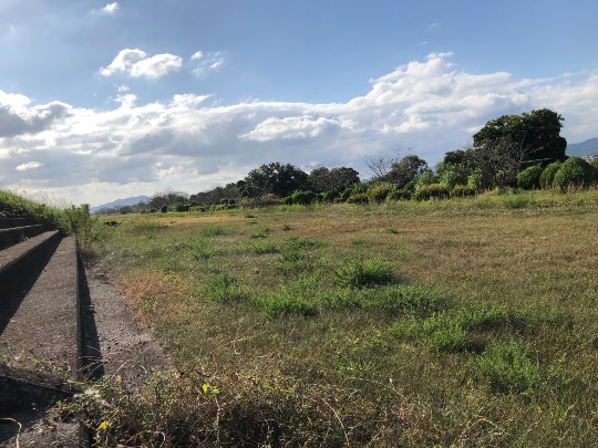 生き物ルーム第49