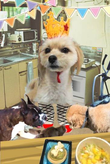 生き物ルーム第49