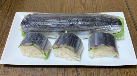 生き物ルーム第49