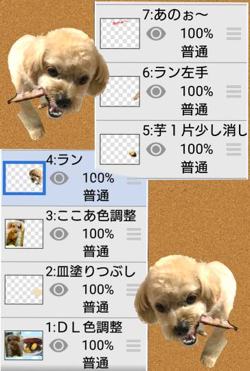 生き物ルーム第49