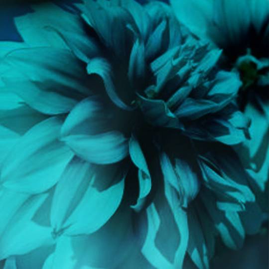 雑談お絵描き部・コラージュ部・素材提供部 No.１２　画像投稿のお悩みはコチラへ