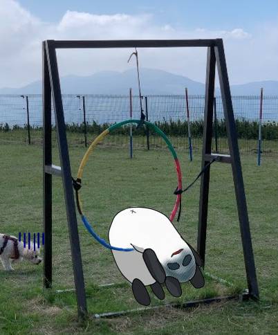 生き物ルーム第49