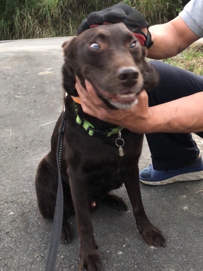 生き物ルーム第49