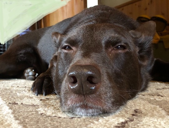 EGG'S CAFE イイ表情お願いしますぅ~♪