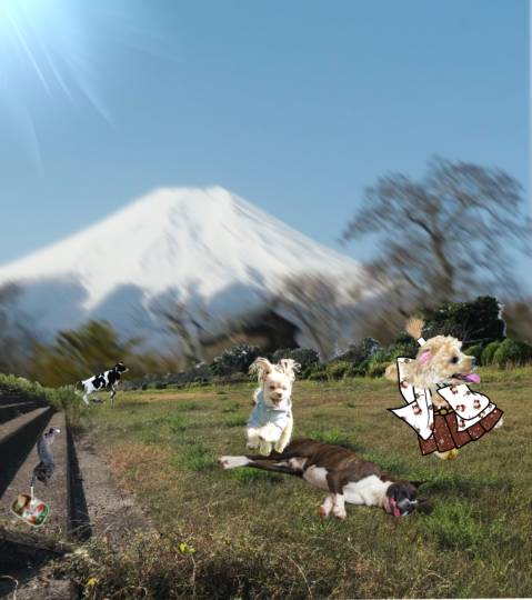 生き物ルーム第49