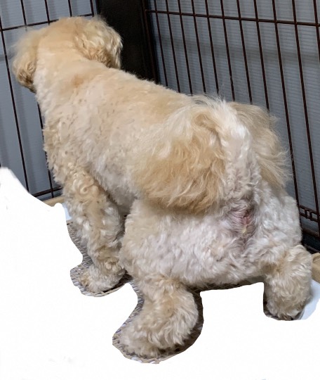 生き物ルーム第49