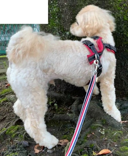 生き物ルーム第49