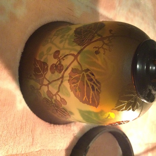 マスク同窓会詰所兼ニューフェイス歓迎所31(野望)