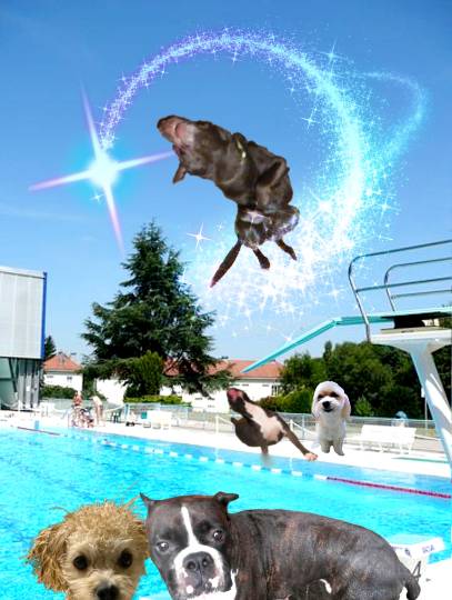 生き物ルーム第49