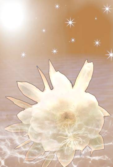 雑談お絵描き部10　画像関係