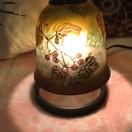 マスク同窓会詰所兼ニューフェイス歓迎所31(野望)